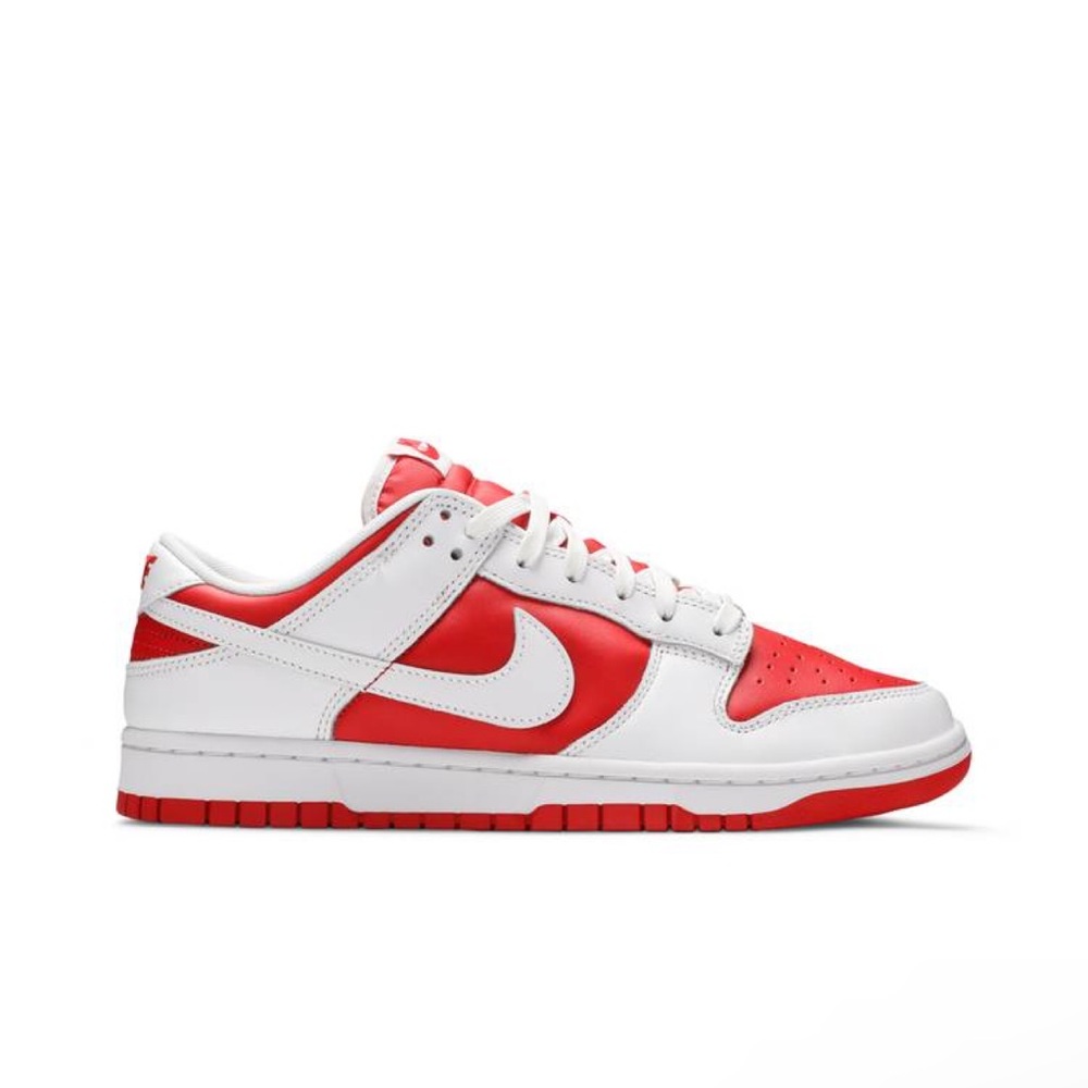 Sz11 worn 2x mens nike dunk